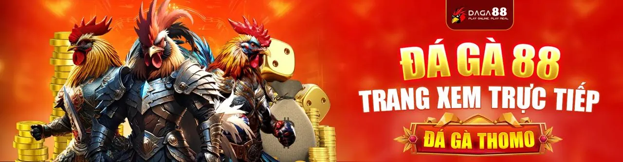 Hình ảnh tổng quan về nền tảng giải trí trực tuyến Kim66 với đa dạng trò chơi cá cược thể thao, sòng bạc trực tiếp và slot game