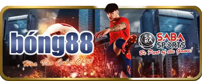 Nền tảng an toàn và uy tín Kim66